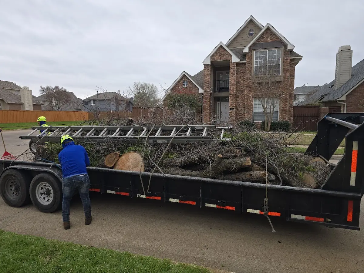 Expert Tree Removal with proper safety equipment in Lancaster